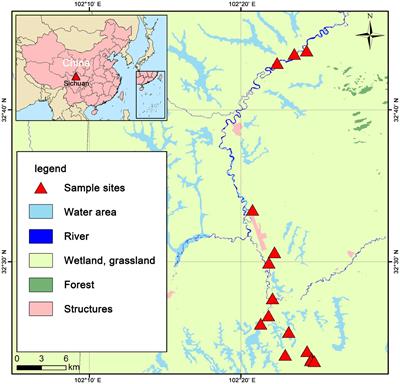 Microbial carbohydrate-active enzymes influence soil carbon by regulating the of plant- and fungal-derived biomass decomposition in plateau peat wetlands under differing water conditions